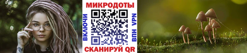 Псилоцибиновые грибы мицелий Баймак