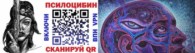Псилоцибиновые грибы Psilocybe  Купить где  Баймак 